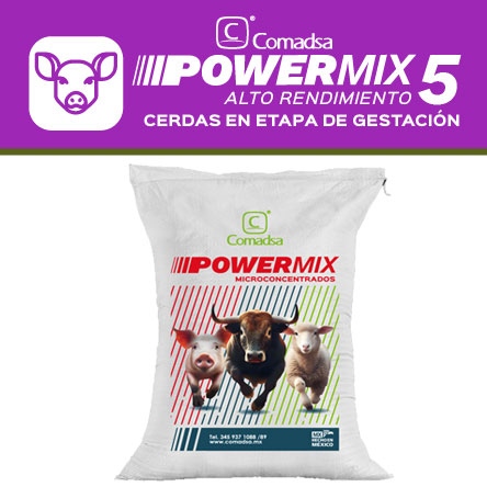 Power Mix 5 Cerdas en etapa de Gestación